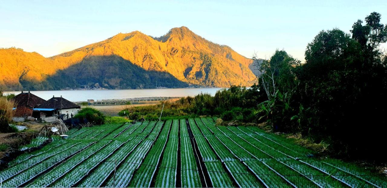 Volcano Lake View Kintamani Exterior foto